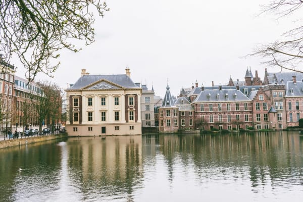 House sit in Voorburg, Netherlands