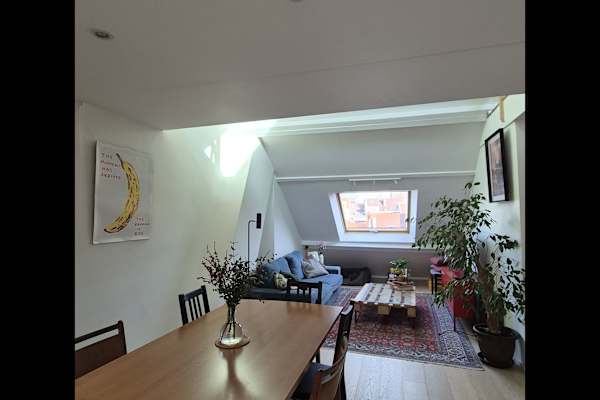 House sit in Brussels, Belgium
