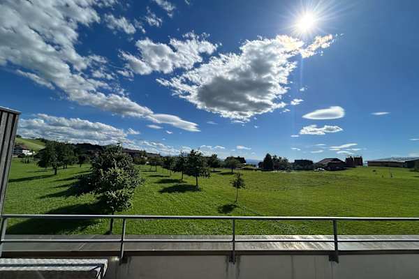 House sit in Neuheim, Switzerland