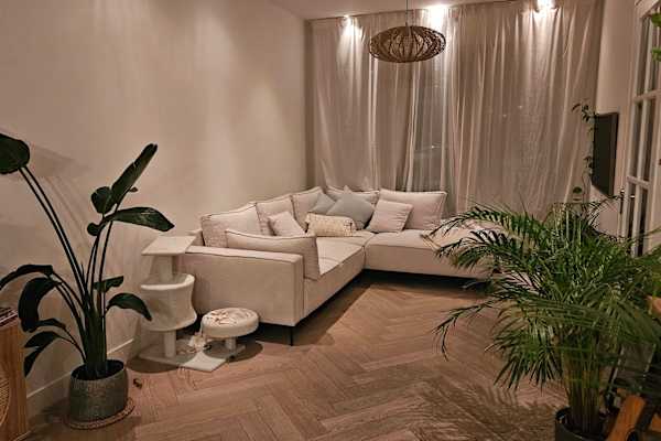 House sit in Scheveningen, Netherlands