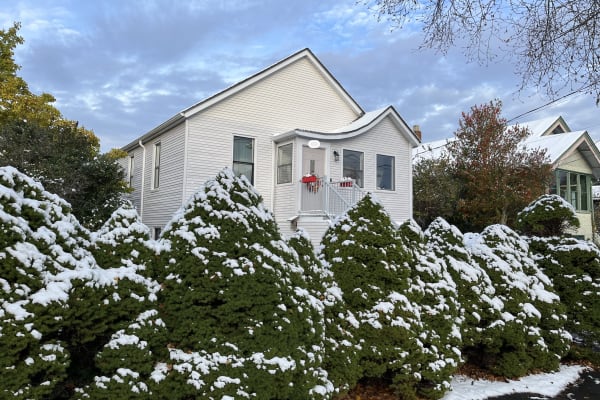 House sit in Victoria, BC, Canada