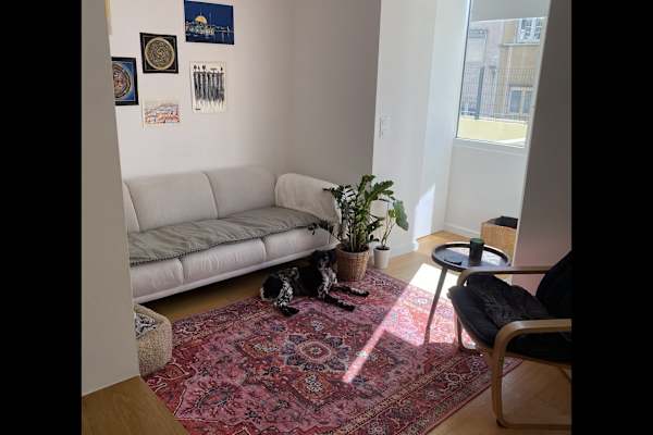 House sit in Lisbon, Portugal