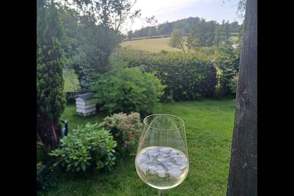 House sit in Cribyn, United Kingdom