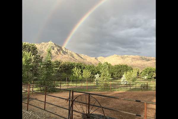 House sit in Prescott, AZ, US