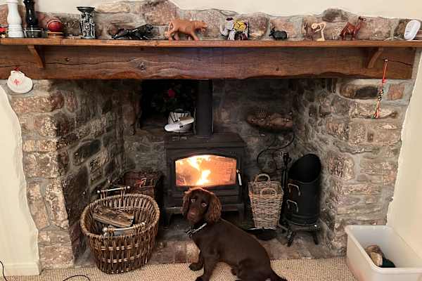 House sit in Minehead, United Kingdom