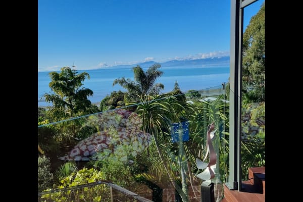 House sit in Nelson, New Zealand