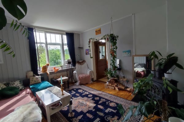 House sit in Oslo, Norway