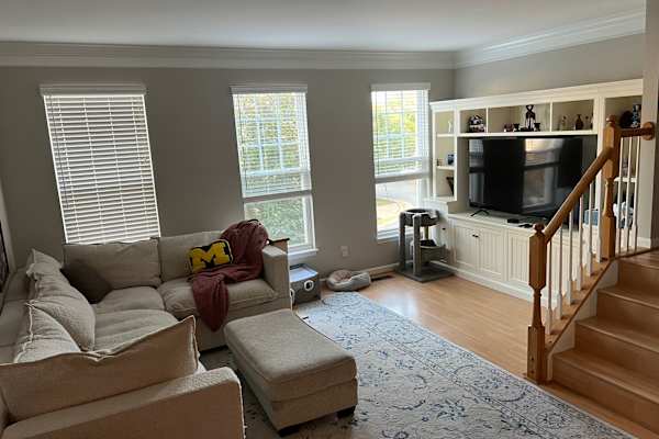 House sit in Lorton, VA, US