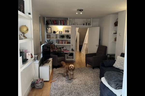 House sit in Fulham, United Kingdom