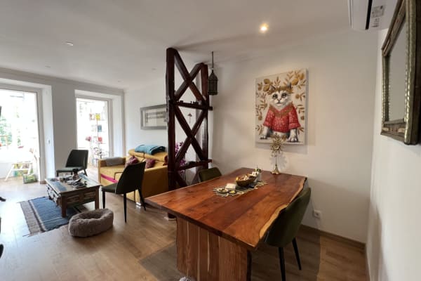 House sit in Lisbon, Portugal