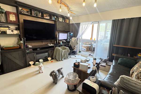 House sit in Vancouver, BC, Canada