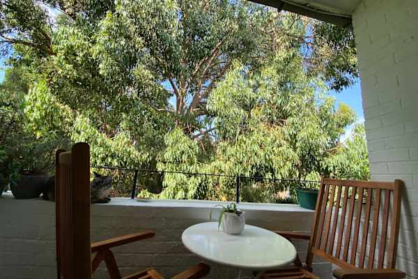 House sit in London, United Kingdom