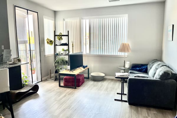 House sit in Longmont, CO, US