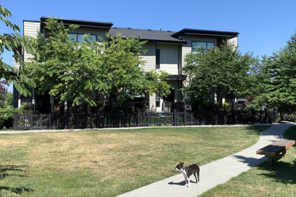 House sit in Surrey, BC, Canada