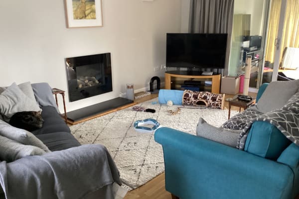 House sit in Marlborough, United Kingdom