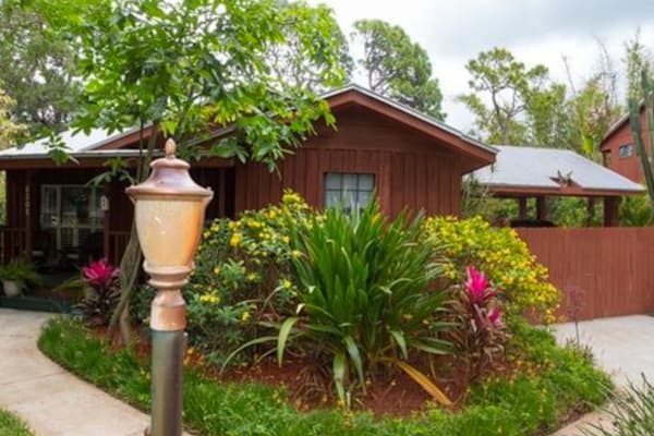House sit in St. Petersburg, FL, US