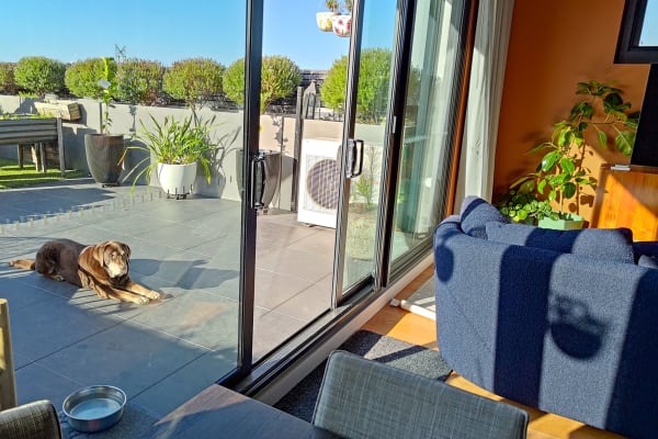 House sit in Melbourne, VIC, Australia