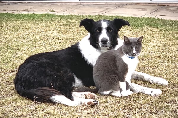 House sit in St Francis Bay, South Africa