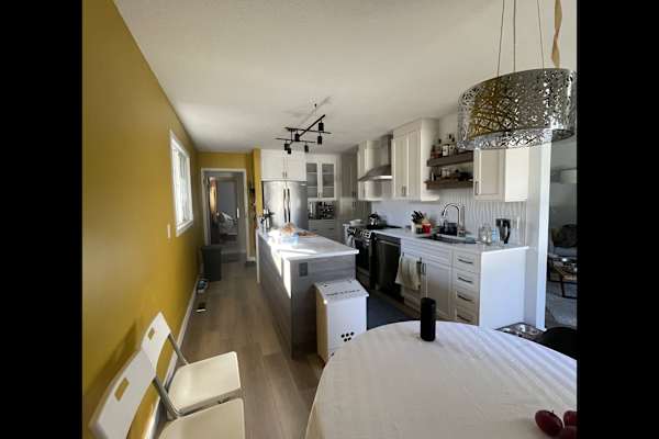 House sit in Calgary, AB, Canada