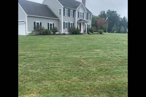 House sit in Bridgewater, MA, US