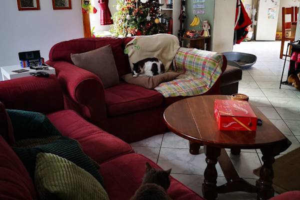 House sit in Bagnères-de-Bigorre, France