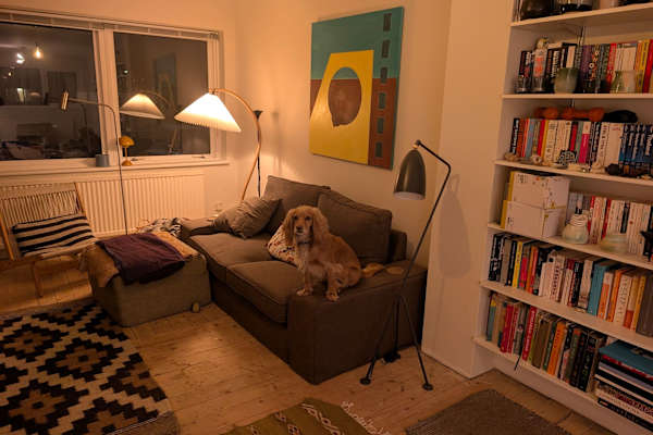 House sit in Hampstead, United Kingdom
