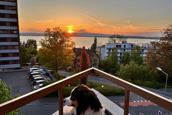 House sit in Zug, Switzerland