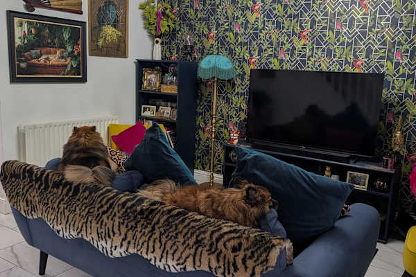 House sit in Sittingbourne, United Kingdom