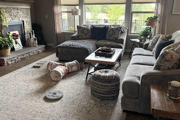 House sit in Colorado Springs, CO, US