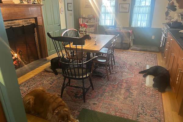 House sit in North Berwick, ME, US