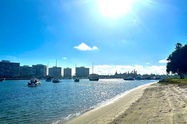 House sit in San Diego, CA, US