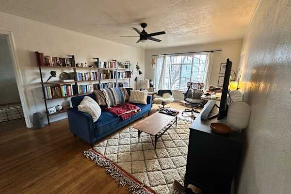 House sit in Denver, CO, US