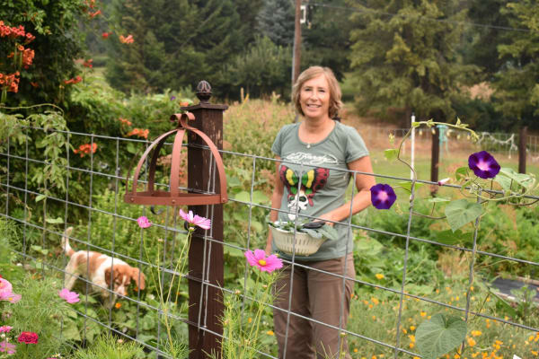 House sit in Leavenworth, WA, US