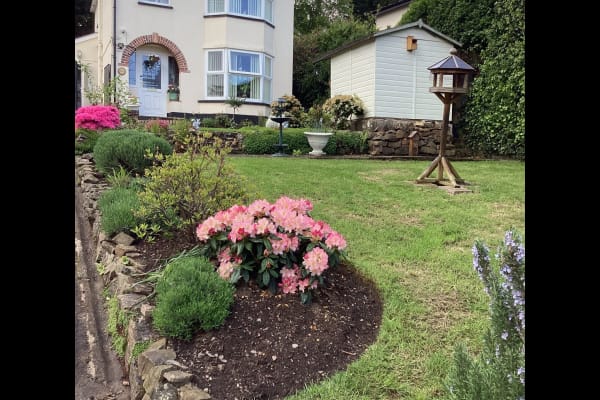 House sit in Bideford, United Kingdom