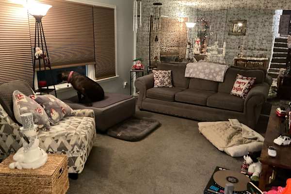 House sit in Grand Blanc, MI, US