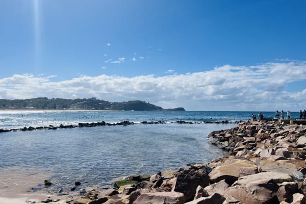 House sit in Avoca, NSW, Australia