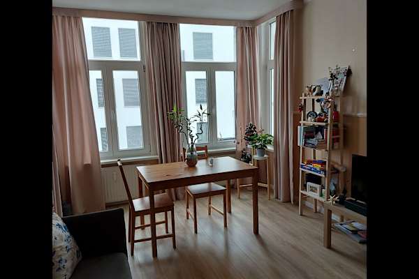 House sit in Magdeburg, Germany