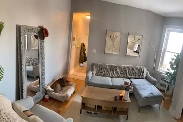 House sit in Manhattan, NY, US