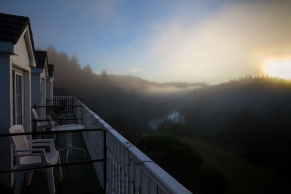 House sit in Graiguenamanagh, Ireland