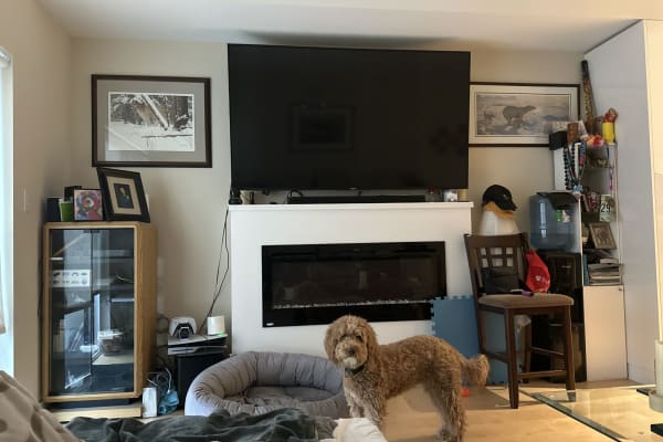 House sit in Victoria, BC, Canada