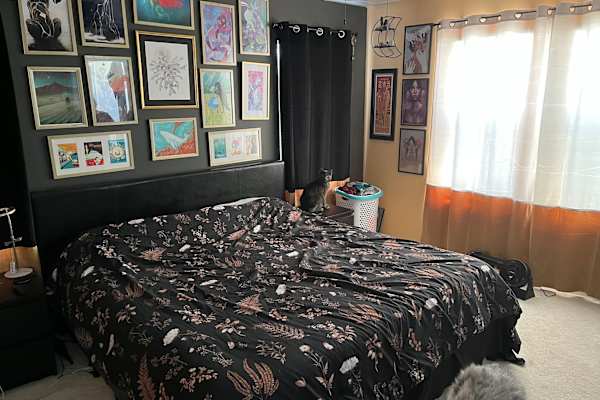 House sit in Athens, GA, US