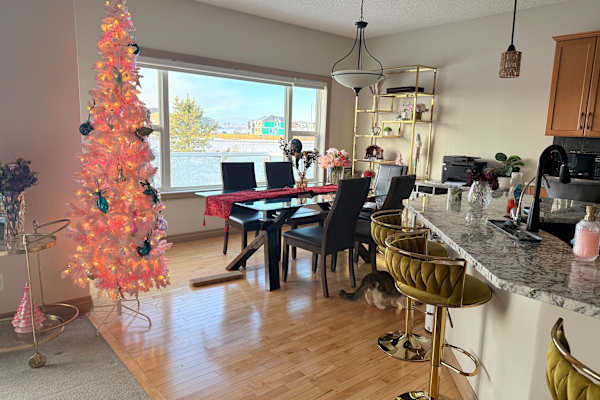 House sit in Calgary, AB, Canada