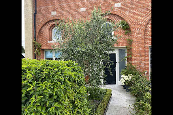 House sit in Dublin, Ireland