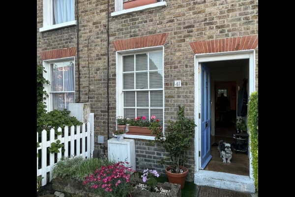 House sit in Twickenham, United Kingdom