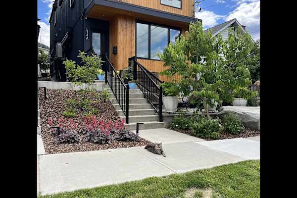 House sit in Nelson, BC, Canada