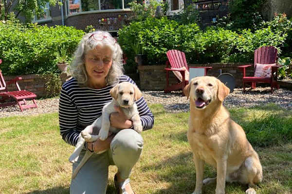 House sit in Enkhuizen, Netherlands