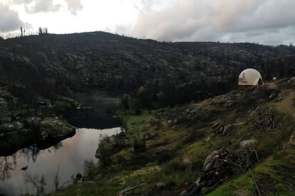 House sit in Póvoa de São Cosme, Portugal