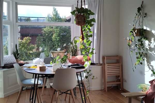 House sit in Amsterdam, Netherlands