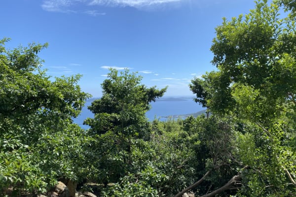 House sit in Road Town, British Virgin Islands