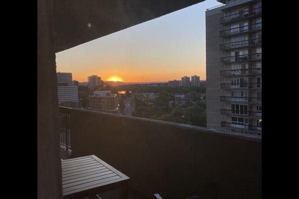 House sit in Vanier, ON, Canada